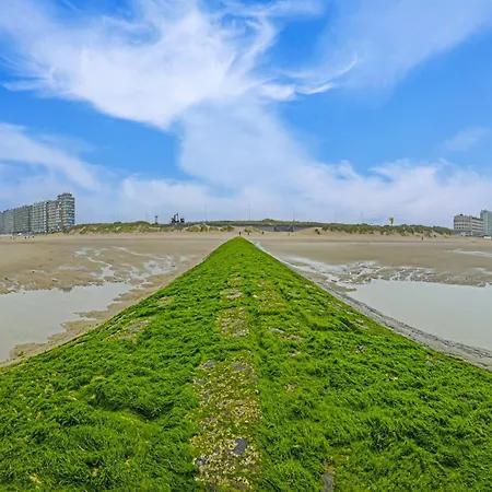 Seaview With Terrace, Cleaning Included Apartment